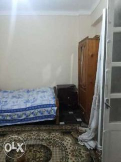 Apartment For Rent In Miami - Qism El-Montaza - Alexandria