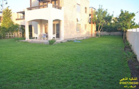 شاليه للإيجار فى قرية سياحية - قسم برج العرب - الإسكندرية