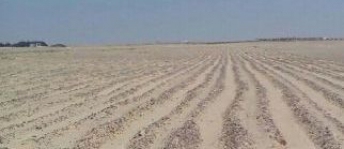 Land For Sale In Al Doha Al Jadeeda - Doha
