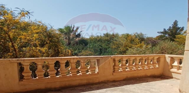 فيلا للبيع فى كينج مريوط - قسم العامرية - الإسكندرية
