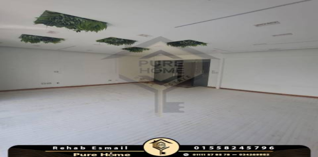 شقة للإيجار فى سموحة - قسم سيدى جابر - الإسكندرية