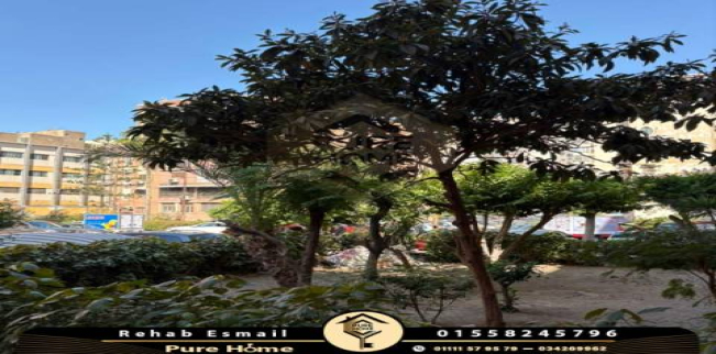 Office For Rent In Smoha - Qism Sidi Gabir - Alexandria